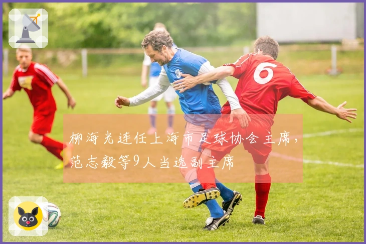 柳海光连任上海市足球协会主席，范志毅等9人当选副主席